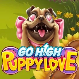 Go High Puppy Love casino game by RubyPlay – featured logo at Lolospin Casino